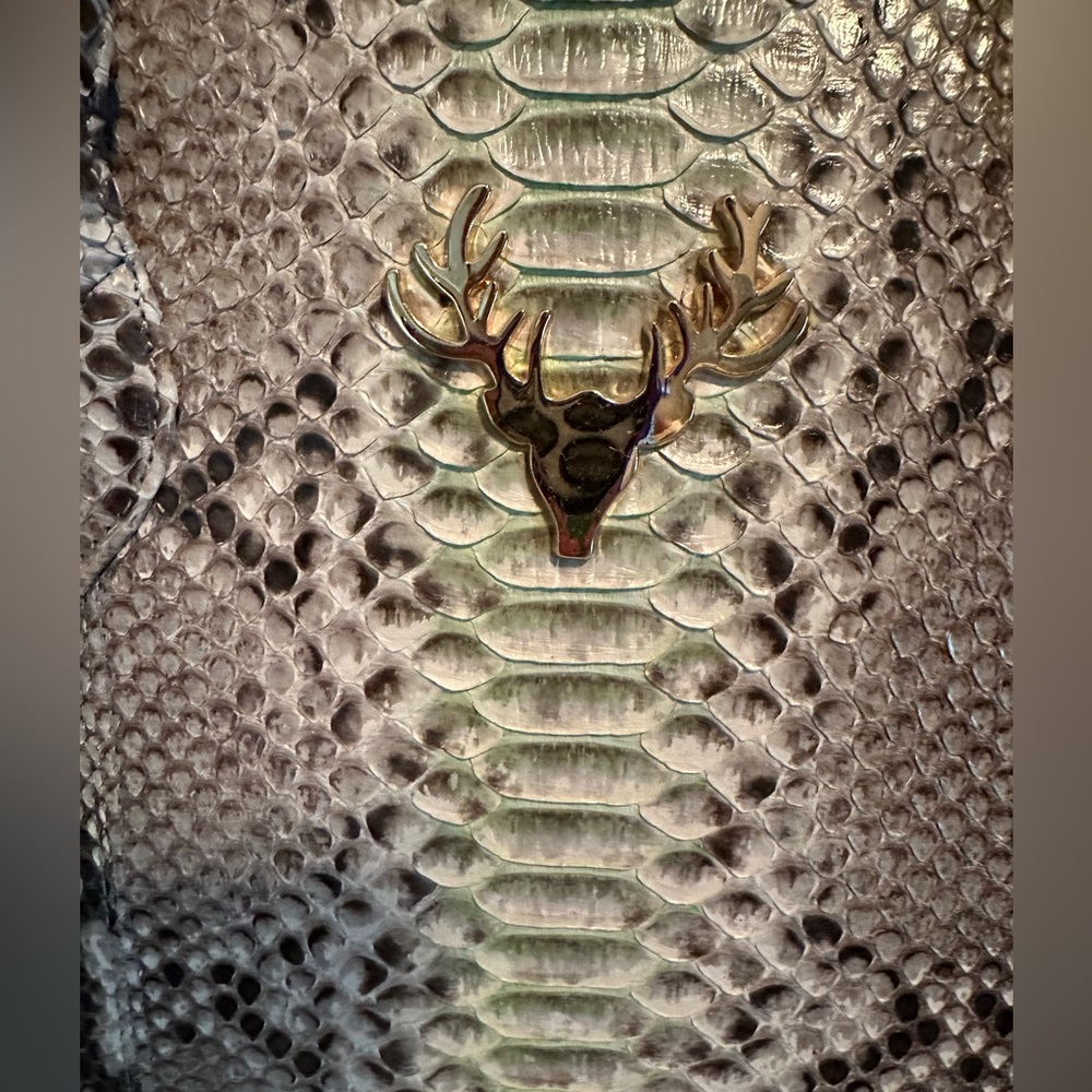 Shop Taxidermy REAL python bag 🐍 - Picture 5 of 12